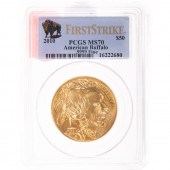 2010 $50 GOLD GOLD BUFFALO PCG