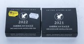 2021-2022 SILVER EAGLES WEST P