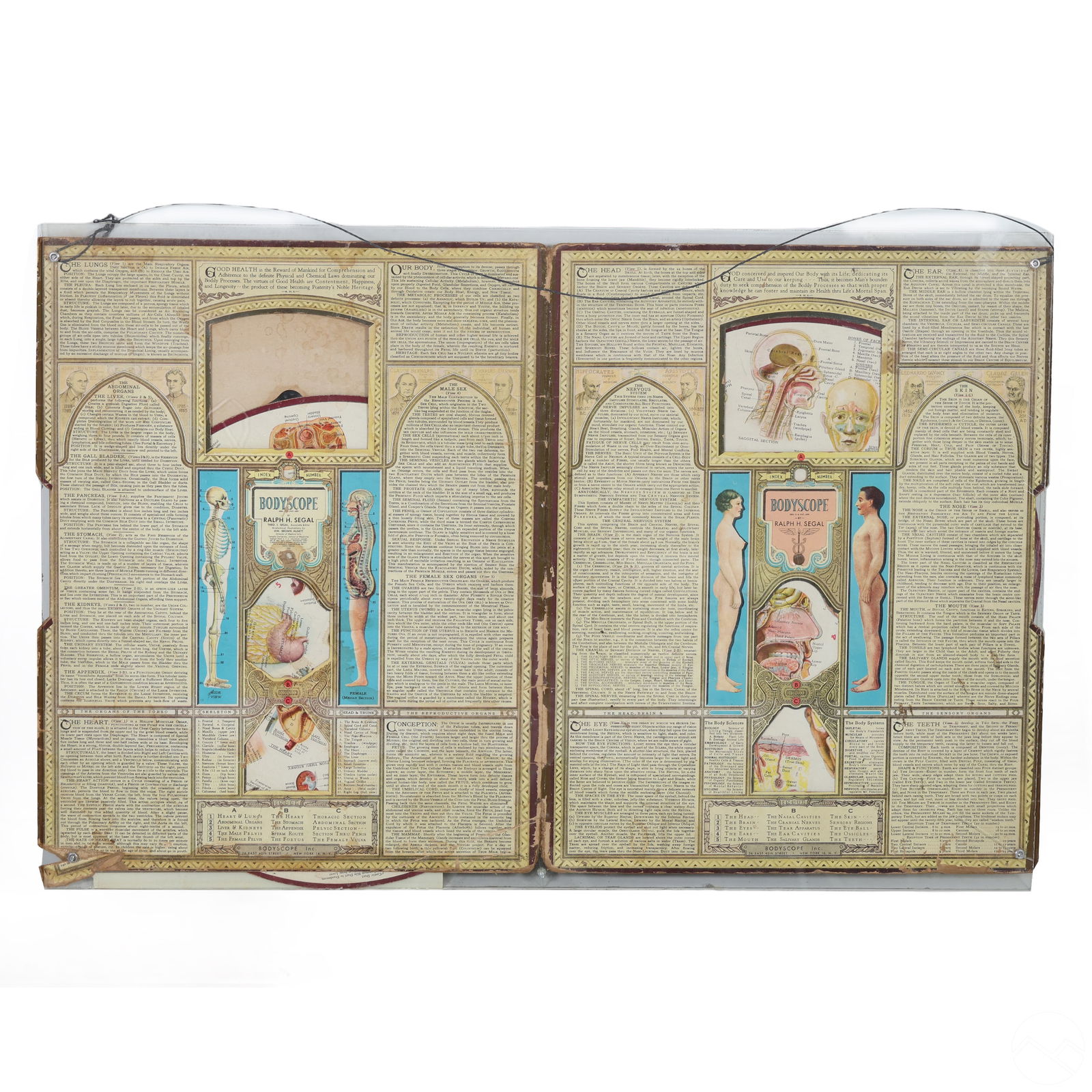 20C BODYSCOPE EDUCATIONAL ANATOMY