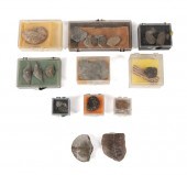 20PCS SHELL & SMALL SEA CREATU