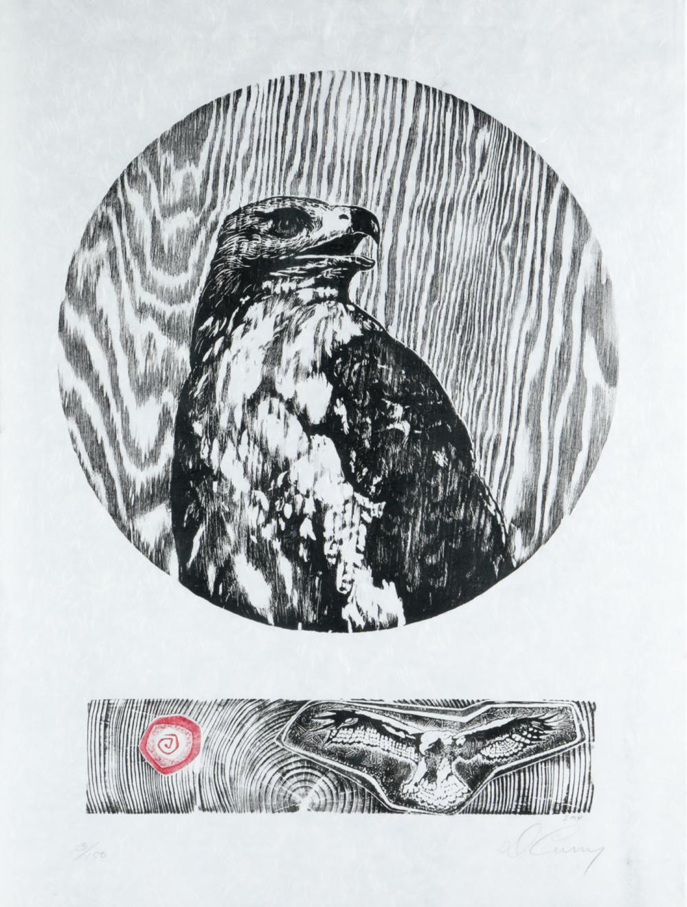 20TH / 21ST CENTURY: HAWKlinoleum