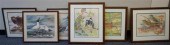 20TH CENTURY, BIRDS, SIX ASSOR