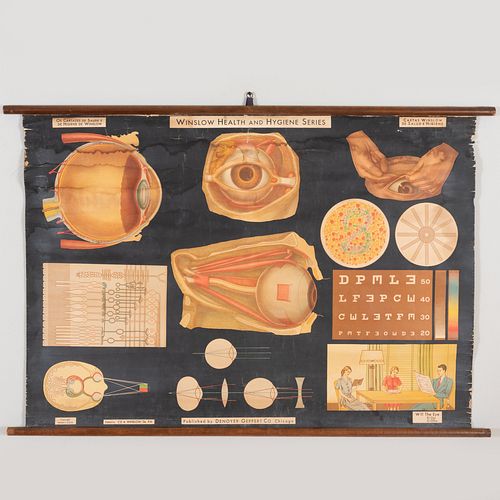 20TH CENTURY SCHOOL: AMERICAN