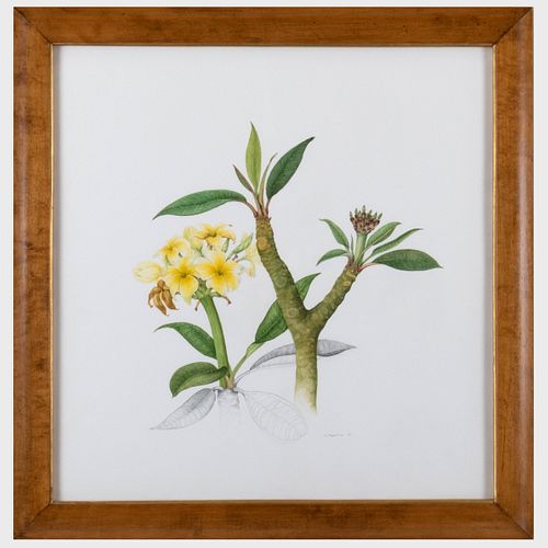 20TH CENTURY SCHOOL: BOTANICAL