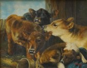 20TH CENTURY SCHOOL, COWS IN T