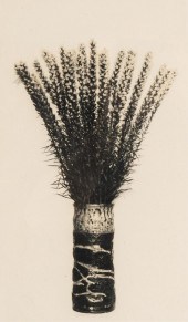 20TH CENTURY:STILL LIFE20th Ce
