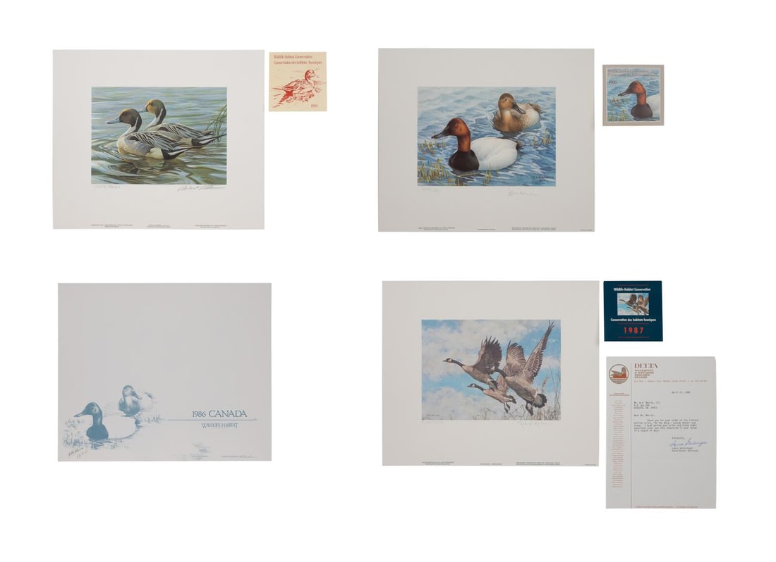 21 CANADIAN AND AUSTRALIAN DUCK
