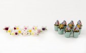 21 PCS PORCELAIN PLACECARD HOL