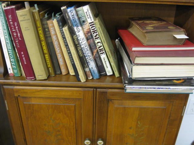 23 Horse Related Books wide