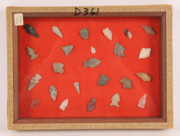 24 small arrowheads/bird points