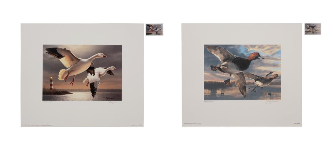 25 FEDERAL DUCK STAMP PRINTS