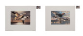 25 FEDERAL DUCK STAMP PRINTS 2