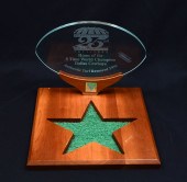 25TH ANNIVERSARY TEXAS STADIUM