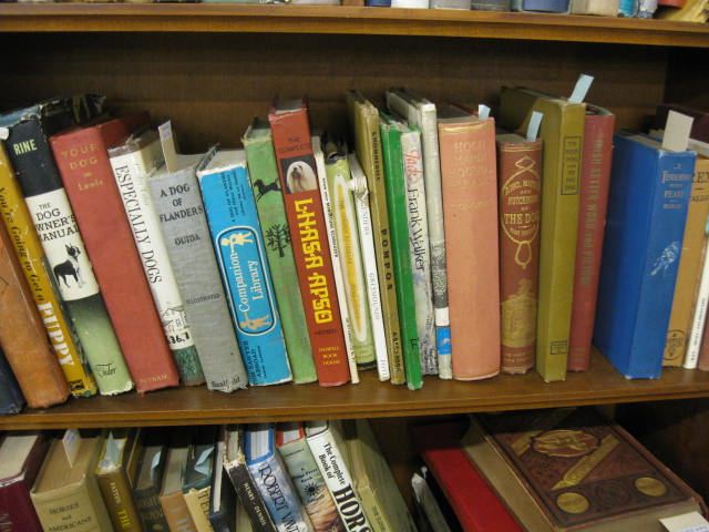 27 Dog Related Books wide variety.