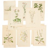 (27) HAND-COLORED 18TH C. BOTA