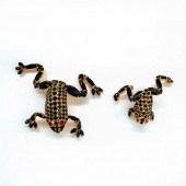 2PC DOROTHY BAUER BLACK CRYSTA