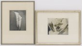 2pc Roi Partridge (1888-1984 W