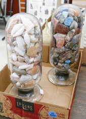 2pc Shell and Mineral Displays