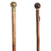 (2PC) WALKING STICK GROUPINGDE