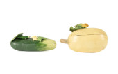 2PCS MARY KIRK KELLY SQUASH AN