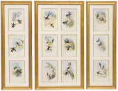 (3) AFTER JOHN GOULD (1804-188