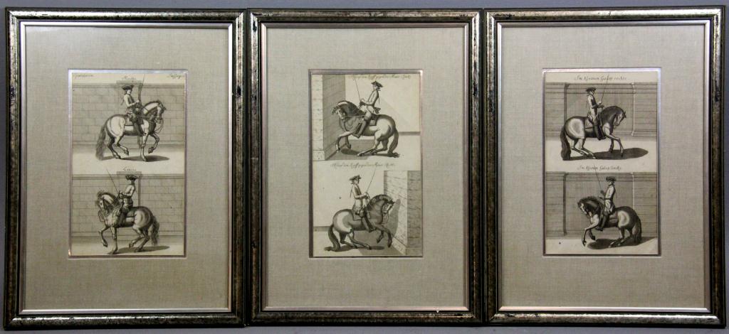(3) Antique Austrian Lipizzaner