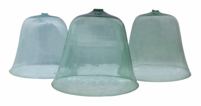 (3) ANTIQUE GLASS CLOCHE DOME