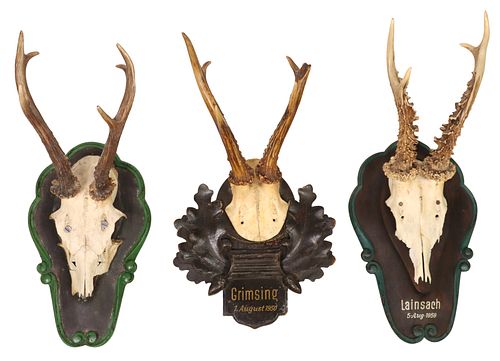 (3) AUSTRIAN BLACK FOREST DEER