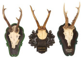 (3) AUSTRIAN BLACK FOREST DEER
