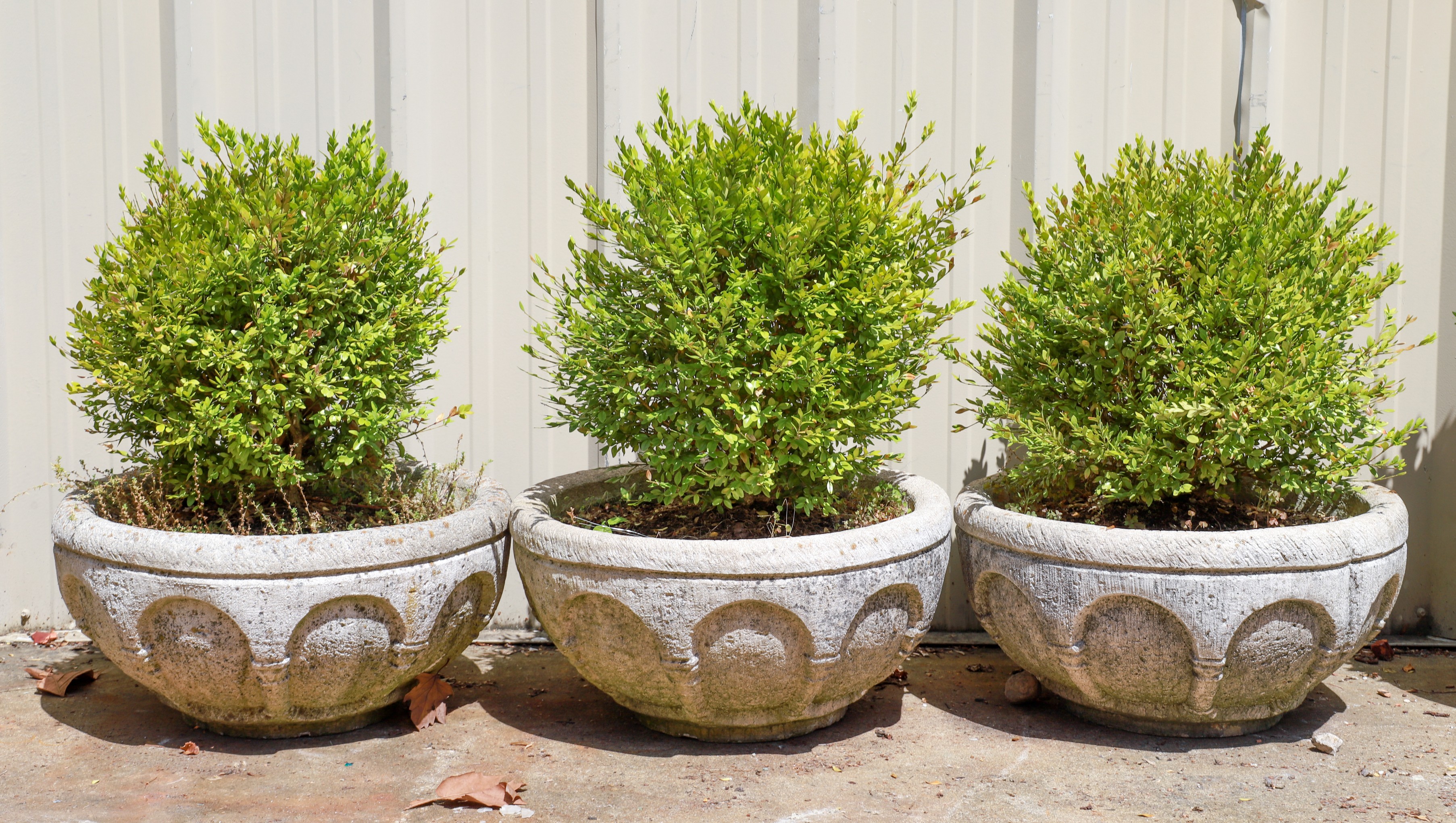 (3) Cement planters w/ small