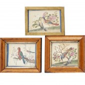 (3) CHINESE EXPORT AVIAN PITH