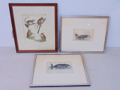 3 EARLY PRINTS, TWO WHALE PRIN