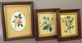 3 FLORAL WATERCOLORSca. 1870-7