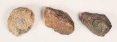 3 FOSSILIZED DINOSAUR VERTEBRA