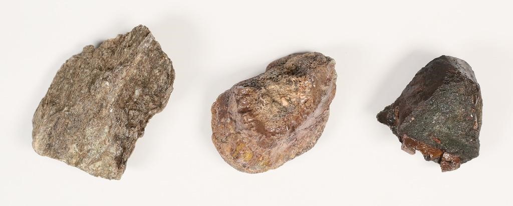 3 FOSSILIZED DINOSAUR VERTEBRA FROM