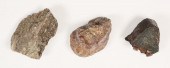 3 FOSSILIZED DINOSAUR VERTEBRA