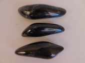 3 FOSSILIZED WHALE TEETH3 foss