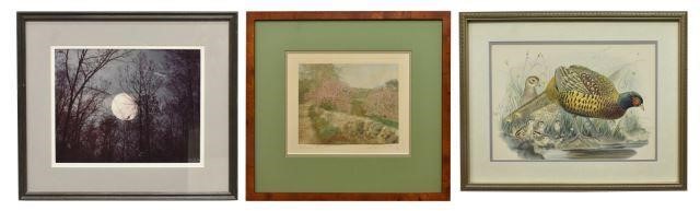 (3) FRAMED ART, WALLACE NUTTING,