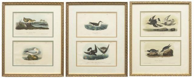 (3) FRAMED AUDUBON BIRDS OF AMERICA