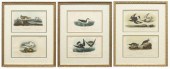 (3) FRAMED AUDUBON BIRDS OF AM
