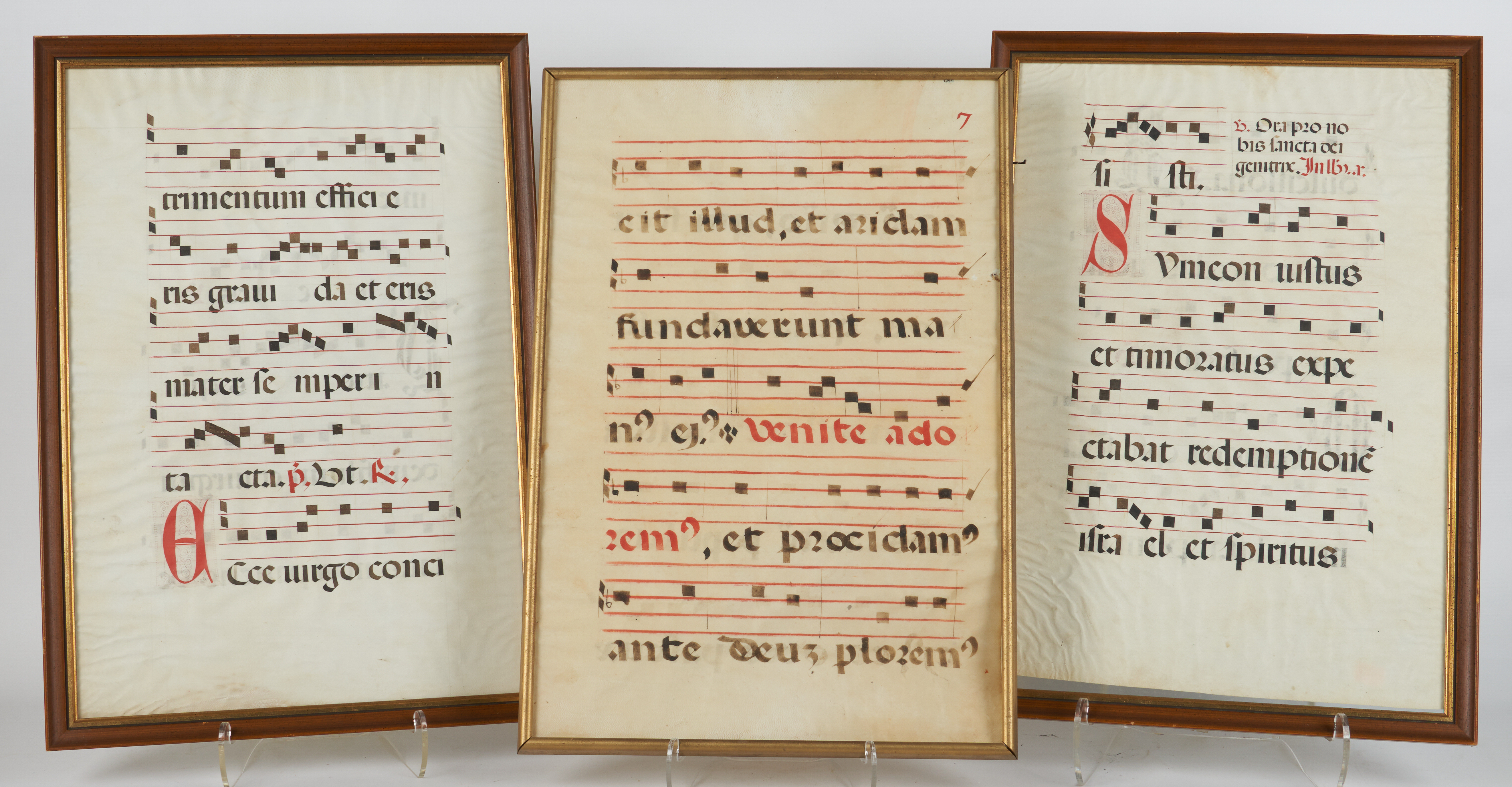 (3) Framed illuminated gregorian