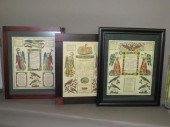 3 FRAMED PRINTED GEBURTS & TAU