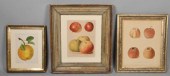 3 FRUIT ENGRAVINGS3 engravings