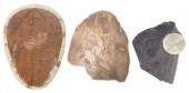 (3) GEOLOGICAL SPECIMENS & TRI