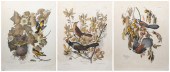 (3) Hand Colored Bird Prints i