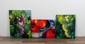 3 JENNY STEWART OILS & GICLEEJ