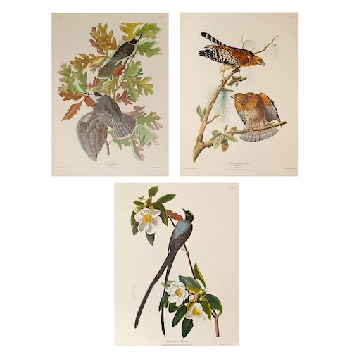3 JOHN JAMES AUDUBON PRINTS FROM