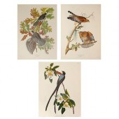 3 JOHN JAMES AUDUBON PRINTS FR