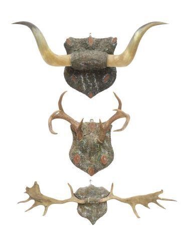 (3) LONGHORN STEER, BUCK & MOOSE