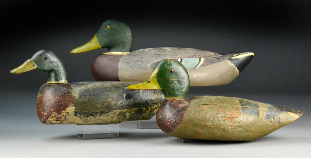 (3) Mallard Drake